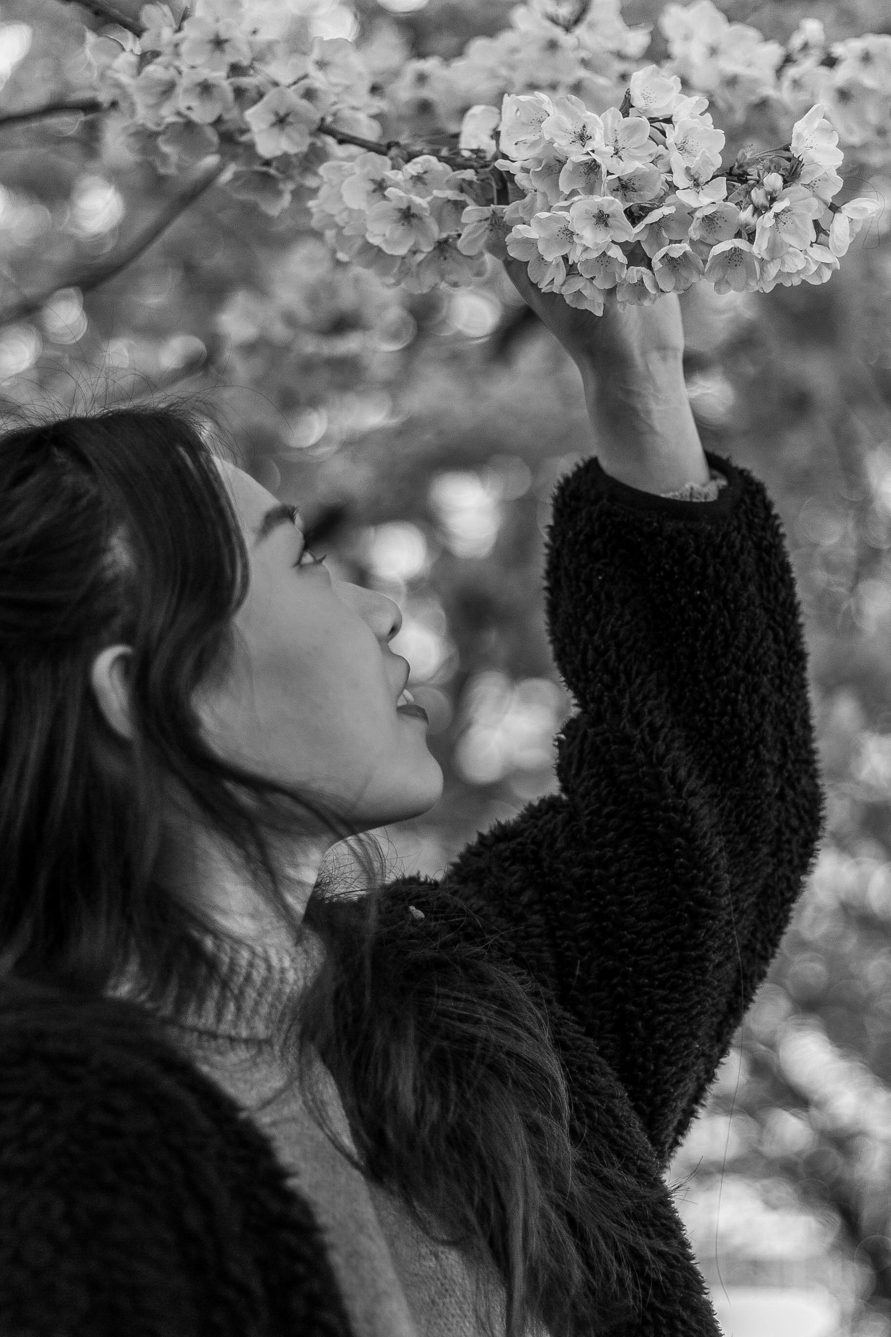 portrait of girl reaching for a cherry blossom flower